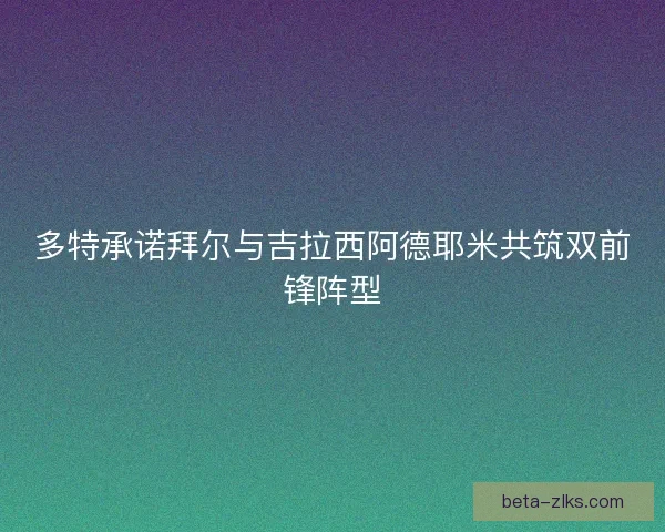 多特承诺拜尔与吉拉西阿德耶米共筑双前锋阵型